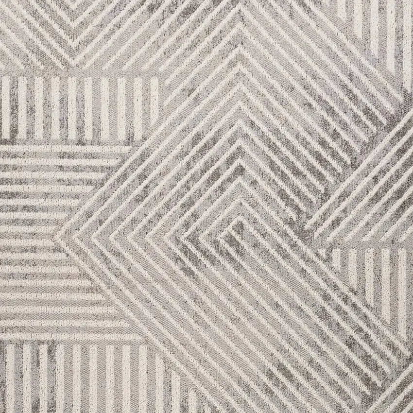 Gray and Beige Abstract Distressed Area Rug Photo 4