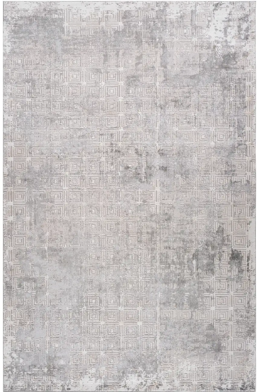 Gray and Beige Abstract Distressed Area Rug Photo 6