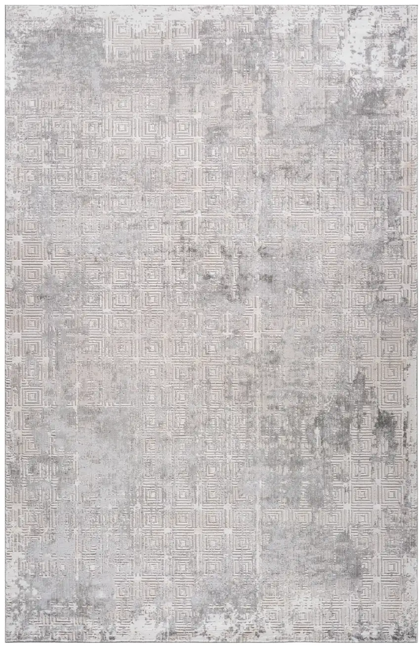 Gray and Beige Abstract Distressed Area Rug Photo 1