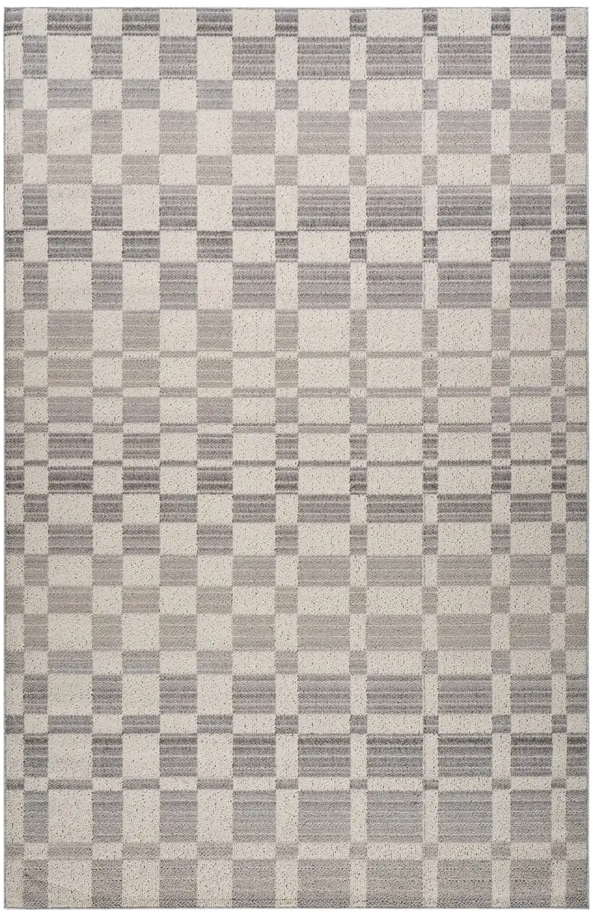 Gray and Beige Checkered Distressed Area Rug Photo 2