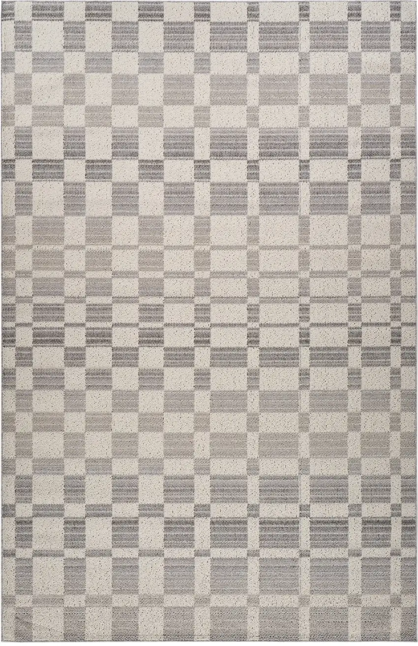 Gray and Beige Checkered Distressed Area Rug Photo 1
