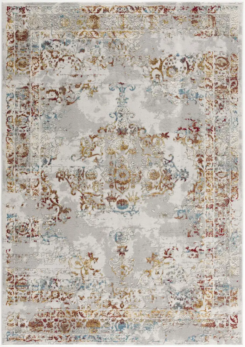 Gray and Beige Distressed Ornate Area Rug Photo 6