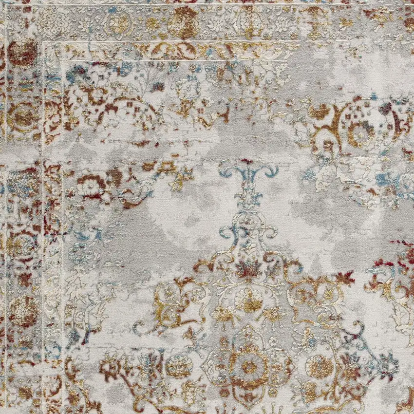 Gray And Beige Distressed Ornate Area Rug Photo 5