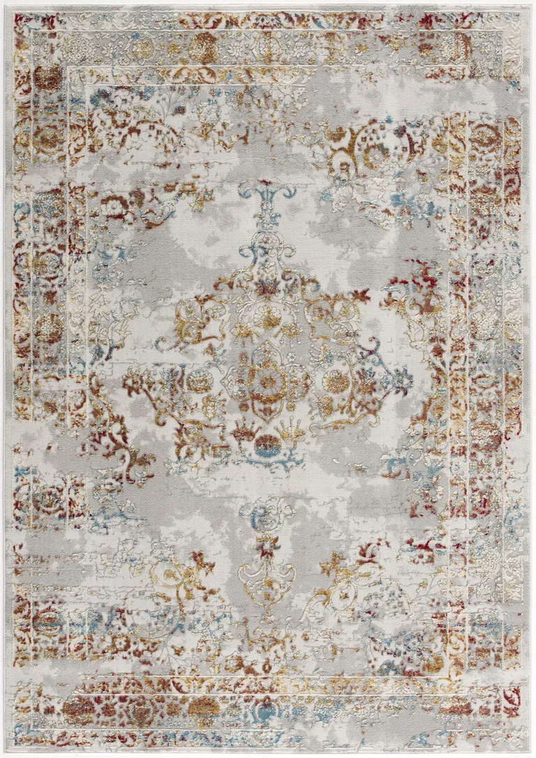 Gray and Beige Distressed Ornate Area Rug Photo 2