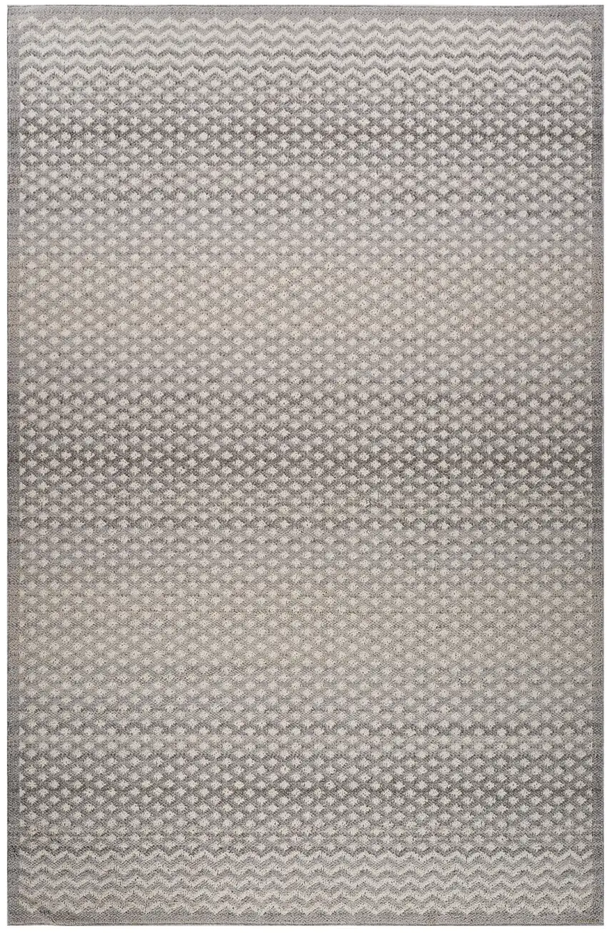 Gray and Beige Moroccan Distressed Area Rug Photo 1