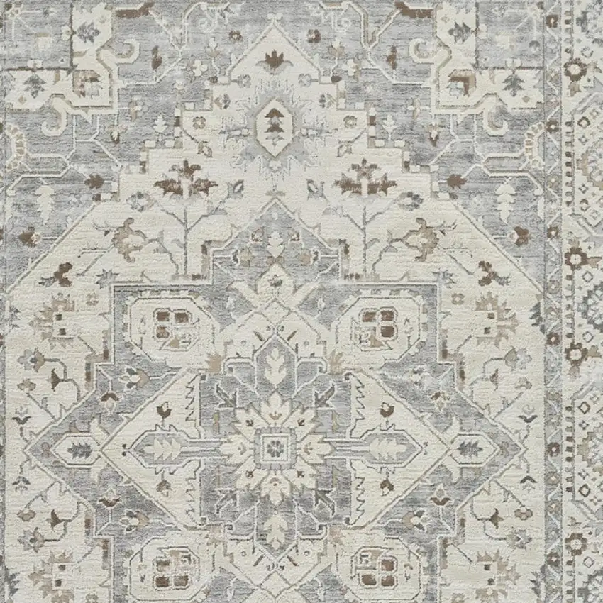 Gray and Beige Oriental Distressed Area Rug Photo 3