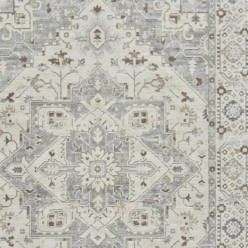 Gray and Beige Oriental Distressed Area Rug Photo 3