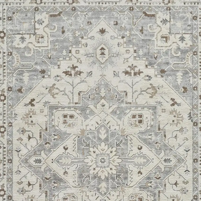Gray and Beige Oriental Distressed Area Rug Photo 3