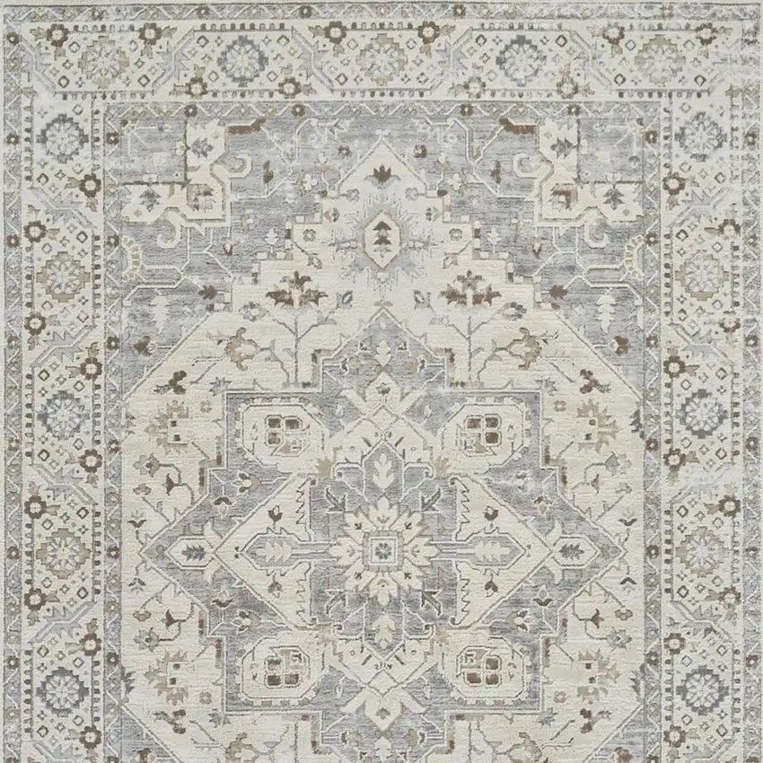 Gray and Beige Oriental Distressed Area Rug Photo 4