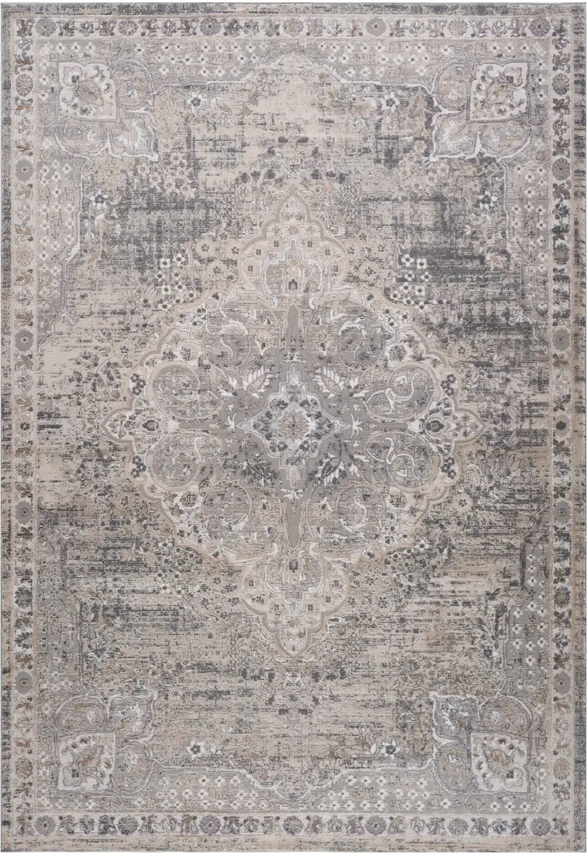 Gray and Beige Oriental Distressed Area Rug Photo 2