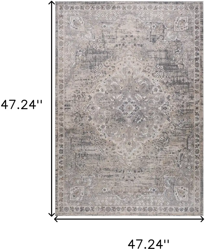 Gray and Beige Oriental Distressed Area Rug Photo 3