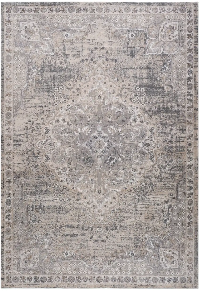 Gray and Beige Oriental Distressed Area Rug Photo 1
