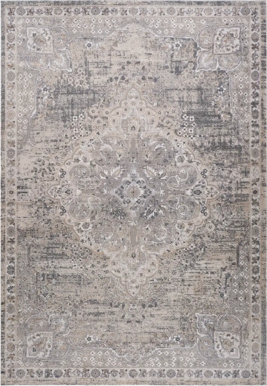 Gray and Beige Oriental Distressed Area Rug Photo 2
