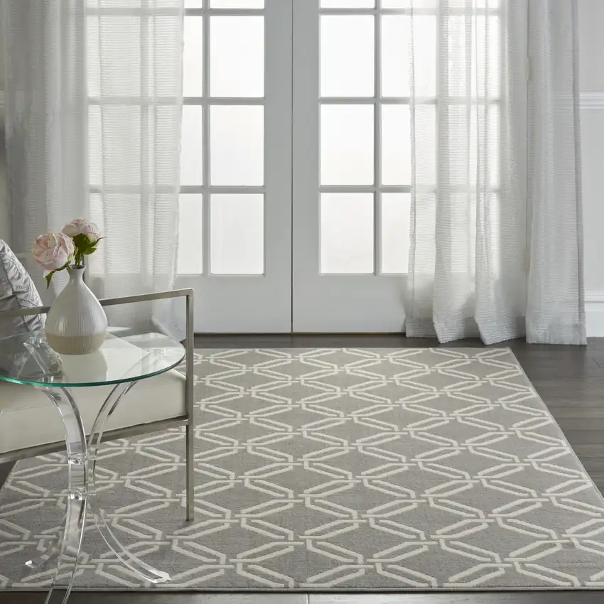 Gray and Beige Trellis Area Rug Photo 3