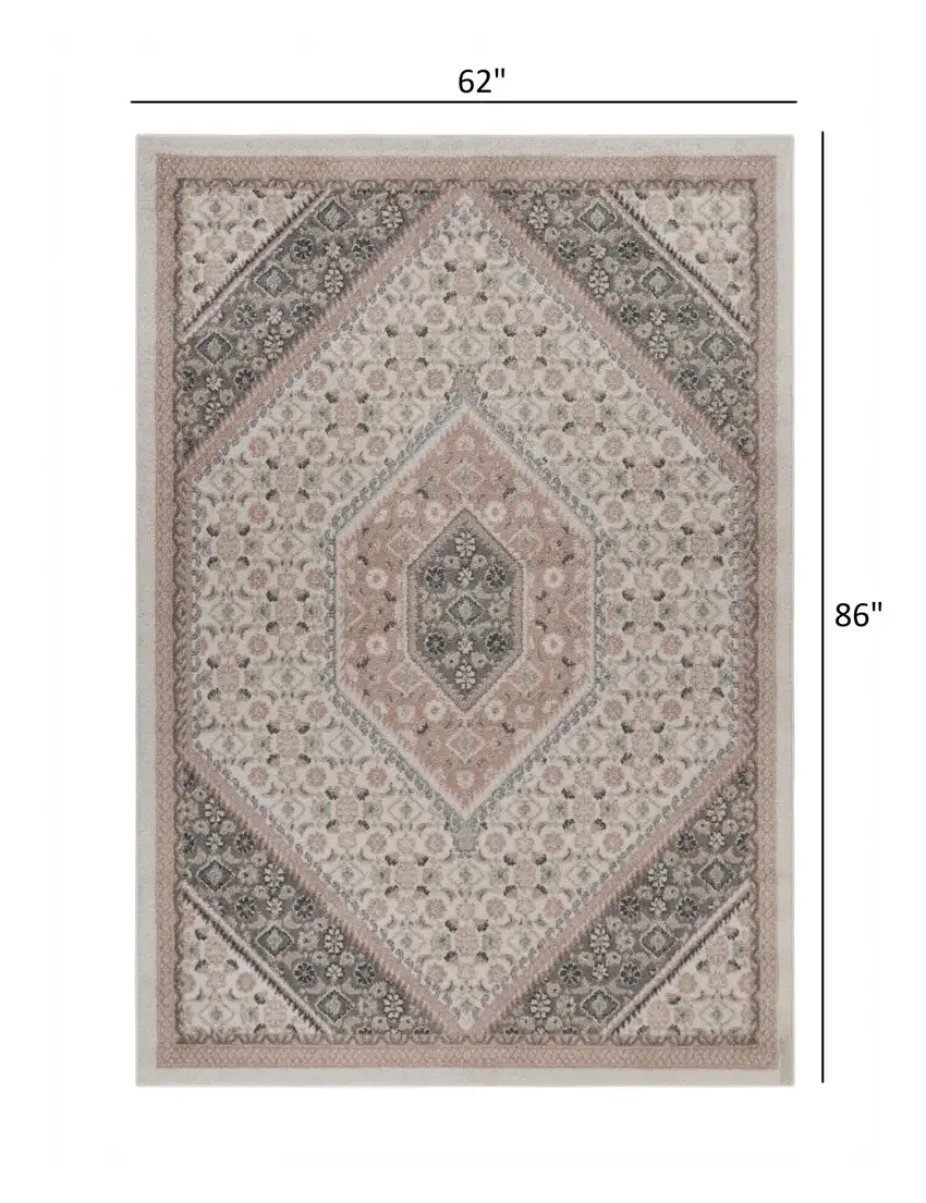 Gray and Blush Traditional Area Rug Photo 7