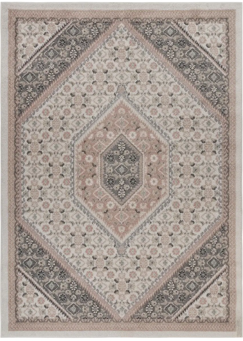 Gray and Blush Traditional Area Rug Photo 8