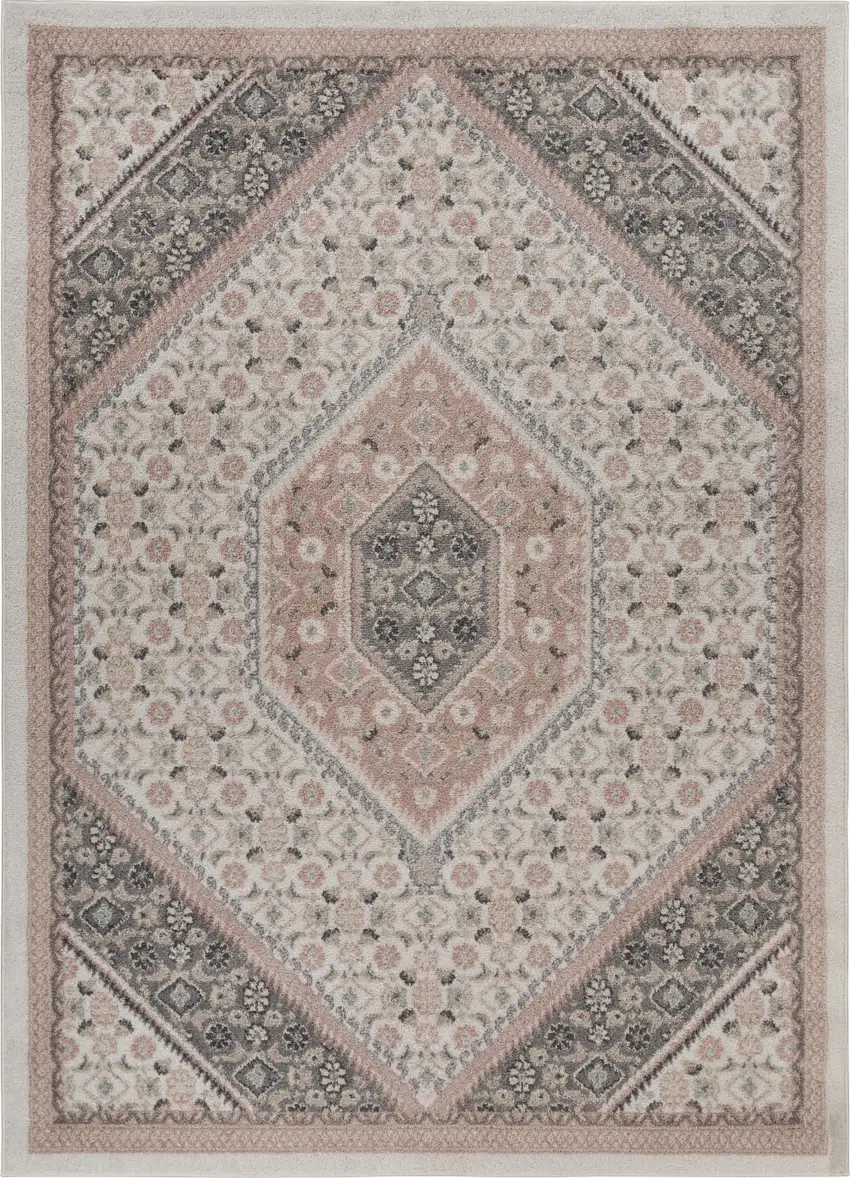Gray and Blush Traditional Area Rug Photo 1