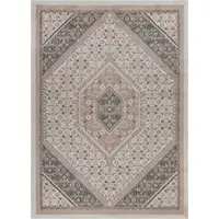 Photo of Gray and Blush Traditional Area Rug