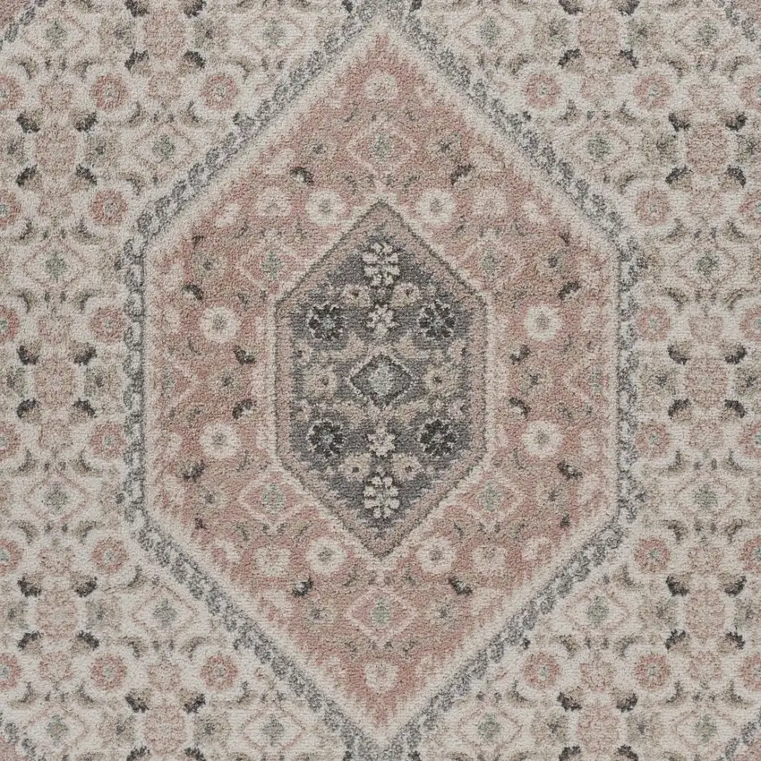 Gray and Blush Traditional Area Rug Photo 2