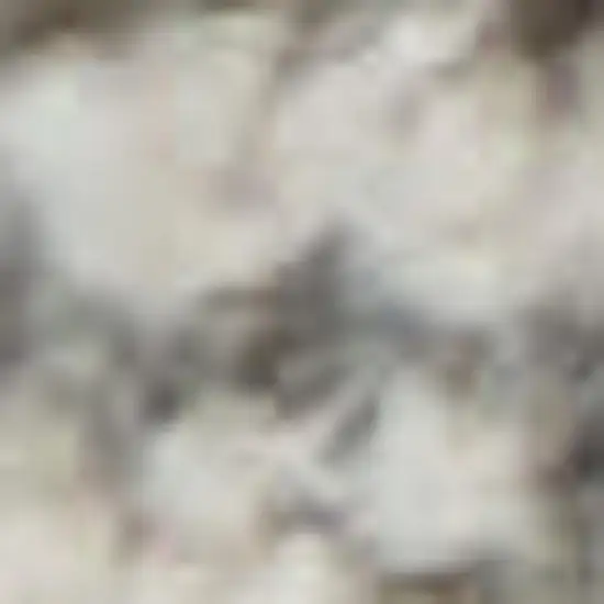 Gray and Dark Gray Floral Power Loom Area Rug Photo 3