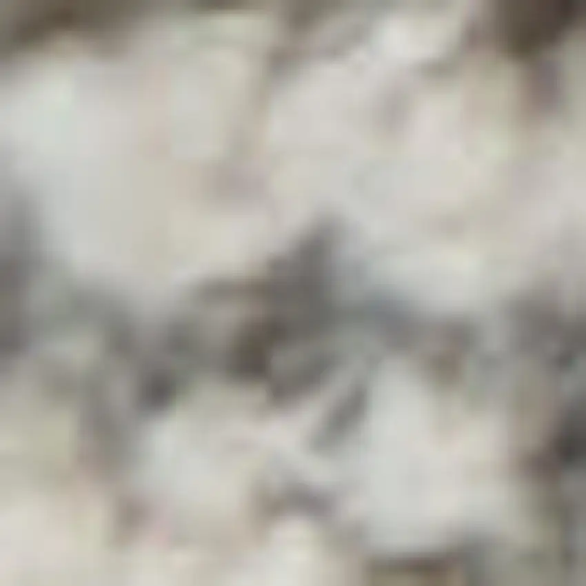 Gray and Dark Gray Floral Power Loom Area Rug Photo 3