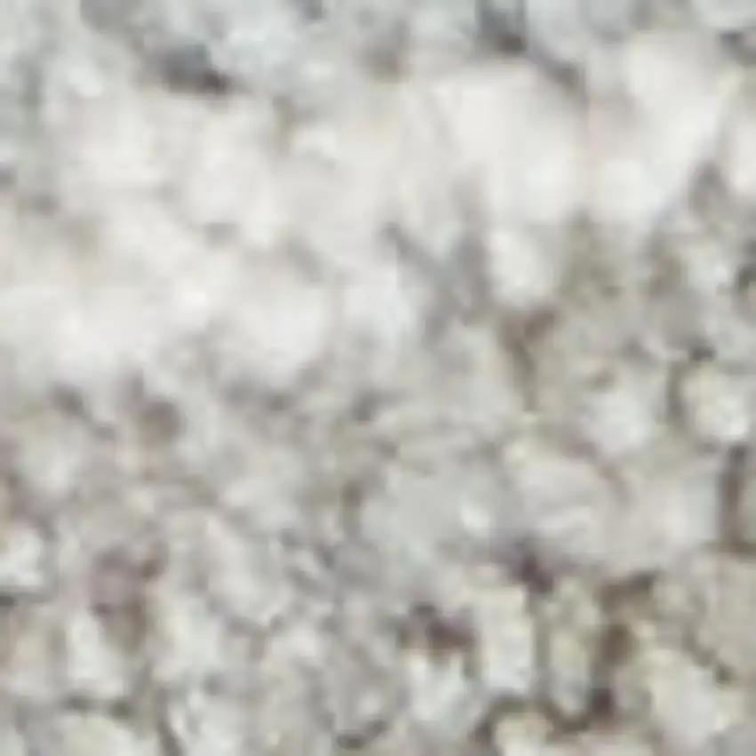 Gray and Dark Gray Floral Power Loom Area Rug Photo 3