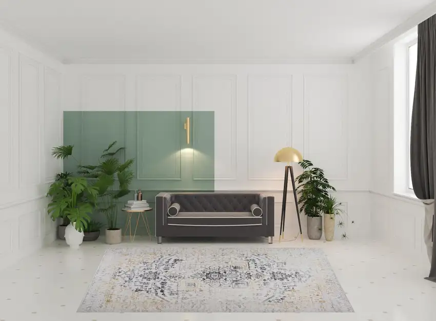 Gray and Gold Oriental Area Rug Photo 3