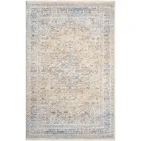 Photo of Gray and Gold Oriental Power Loom Distressed Area Rug