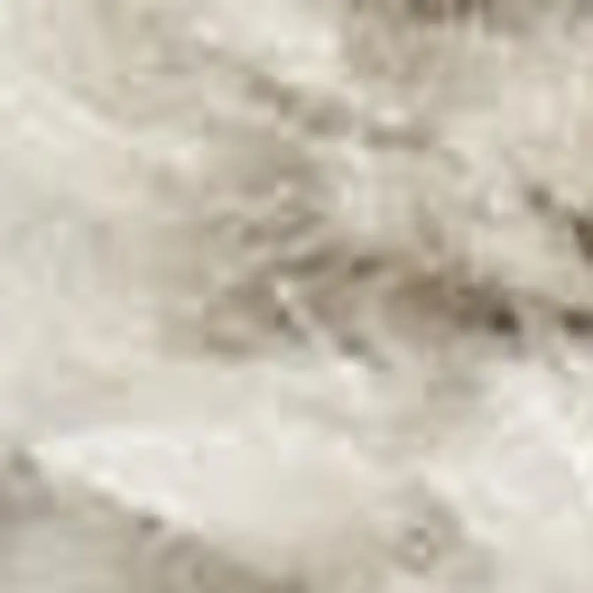 Gray and Ivory Abstract Area Rug Photo 1