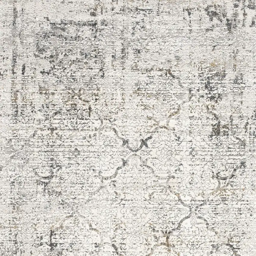 Gray and Ivory Abstract Distressed Area Rug Photo 1