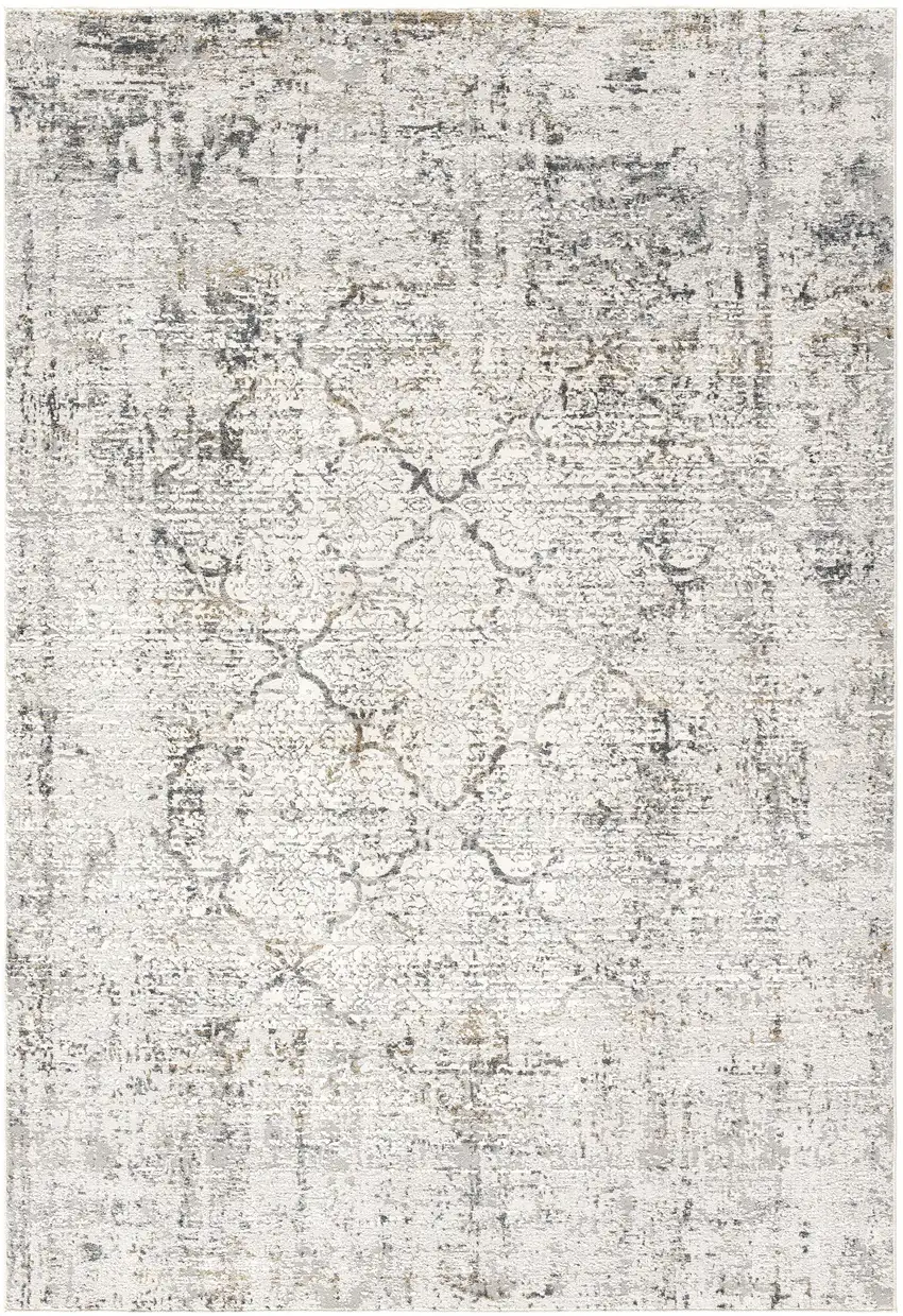 Gray and Ivory Abstract Distressed Area Rug Photo 4