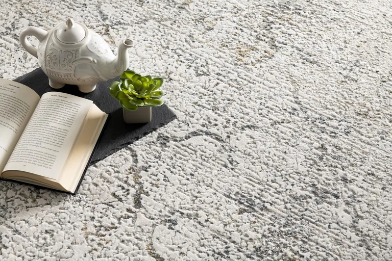 Gray and Ivory Abstract Distressed Area Rug Photo 3