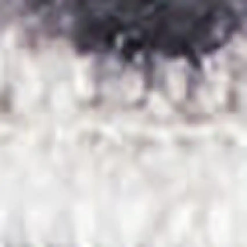 Gray and Ivory Abstract Power Loom Washable Non Skid Area Rug Photo 3