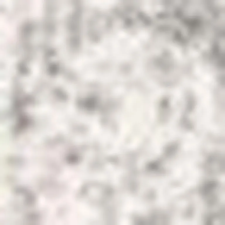 Gray and Ivory Abstract Runner Rug Photo 5