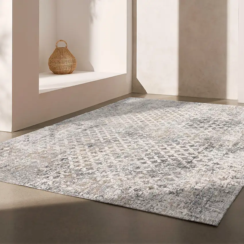 Gray And Ivory Distressed Area Rug Photo 5