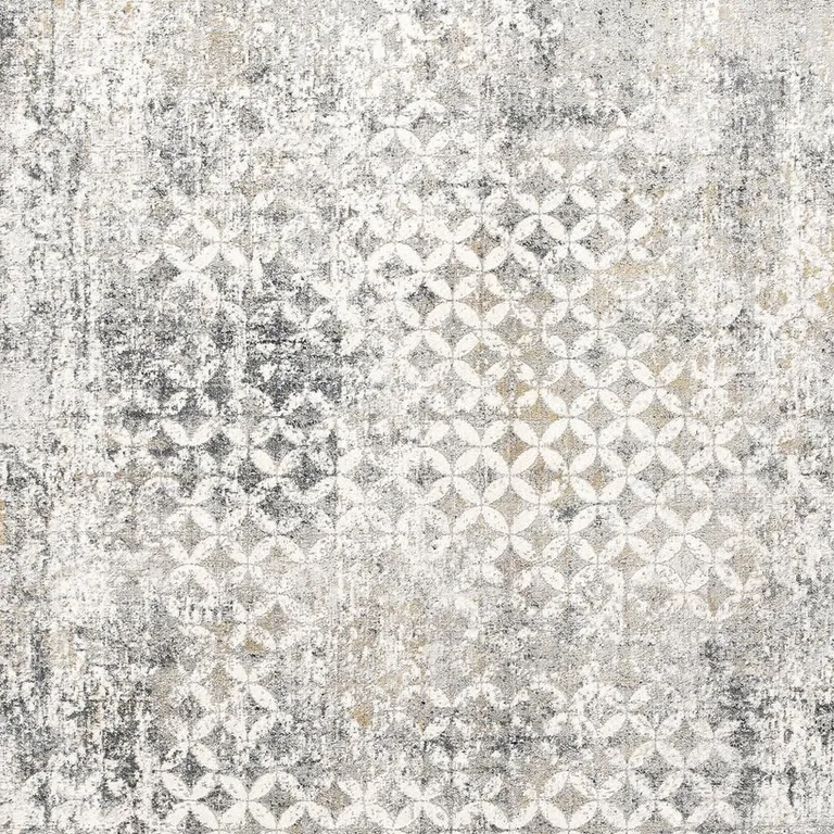 Gray and Ivory Distressed Area Rug Photo 4