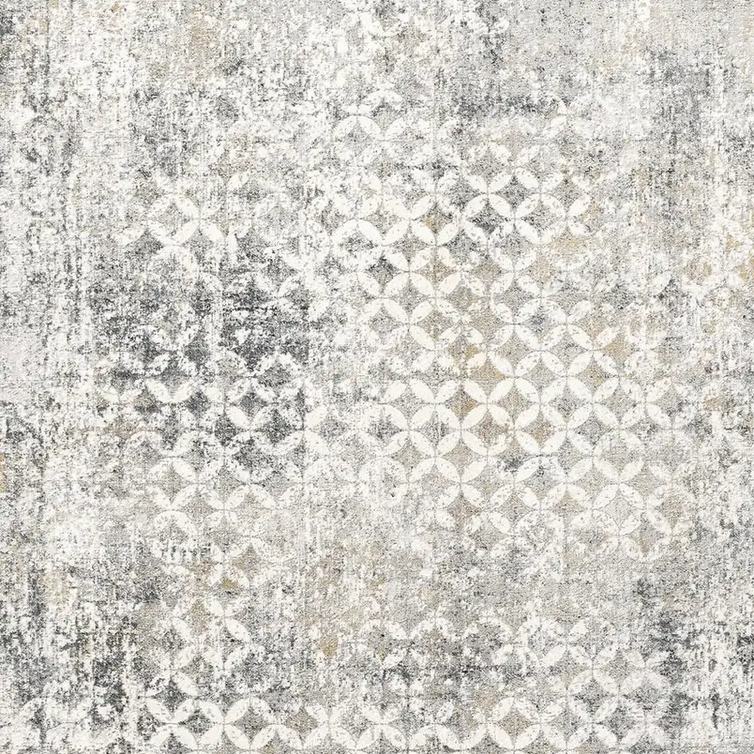 Gray And Ivory Distressed Area Rug Photo 4