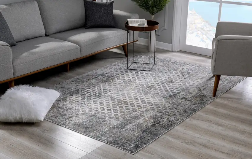 Gray And Ivory Distressed Area Rug Photo 9