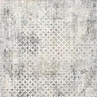 Photo of Gray and Ivory Distressed Area Rug