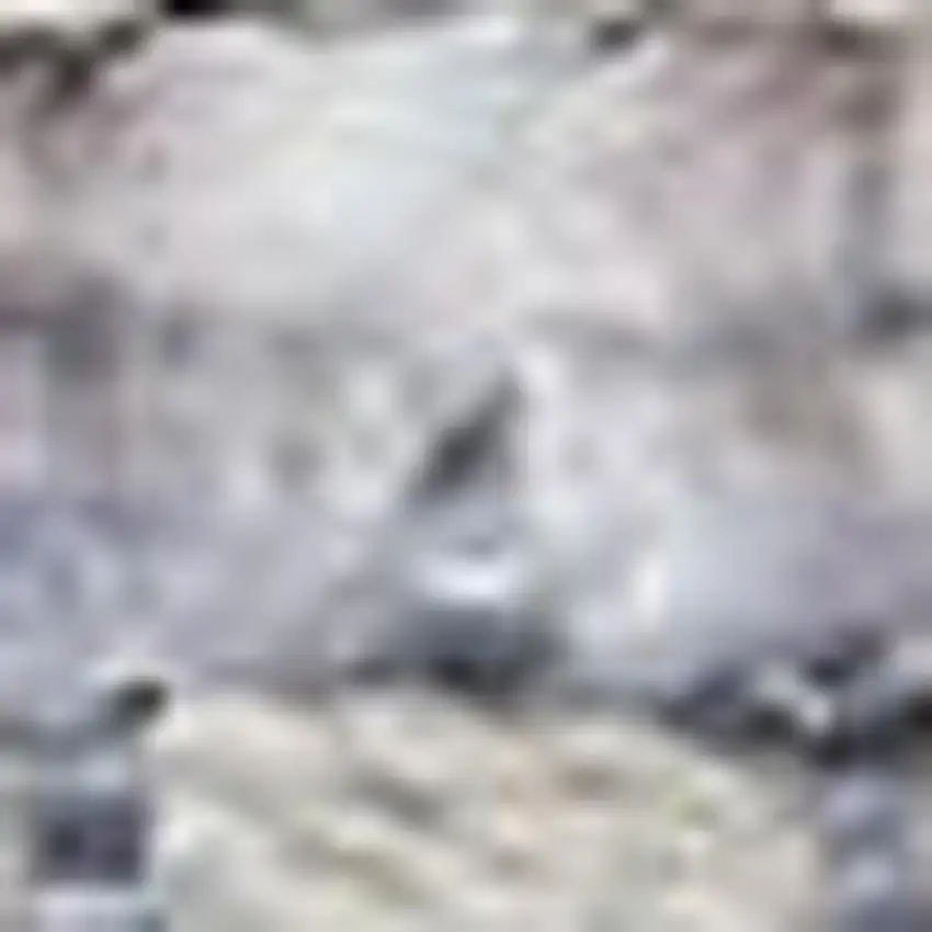 Gray and Ivory Floral Power Loom Distressed Washable Area Rug Photo 3