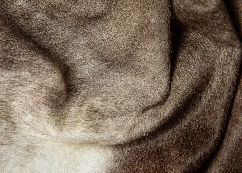 Gray and Ivory Genuine Cowhide Hand Knotted Area Rug Photo 9