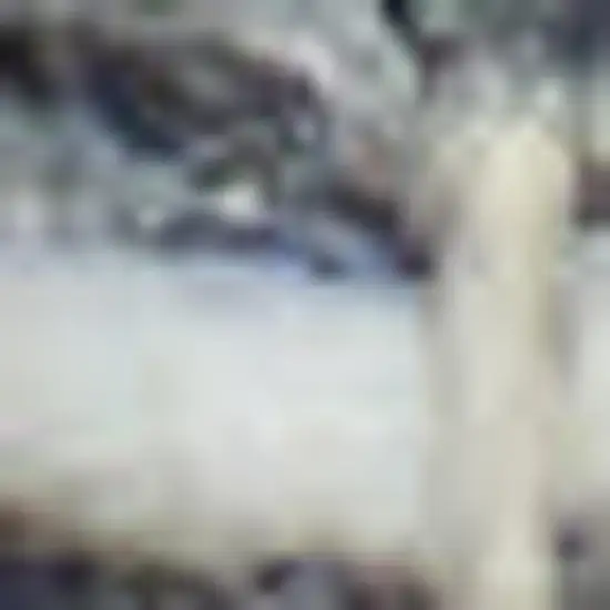 Gray and Ivory Geometric Hand Woven Area Rug With Fringe Photo 3