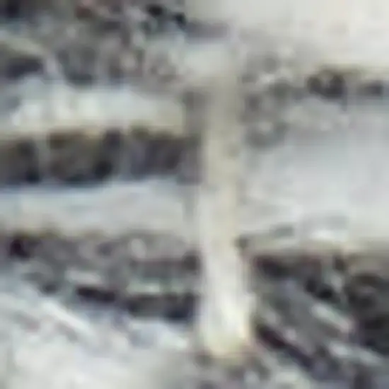 Gray and Ivory Geometric Hand Woven Area Rug With Fringe Photo 3