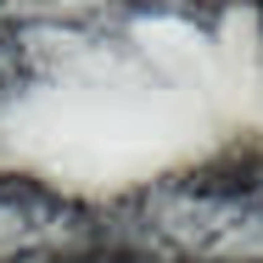 Gray and Ivory Geometric Hand Woven Area Rug With Fringe Photo 4