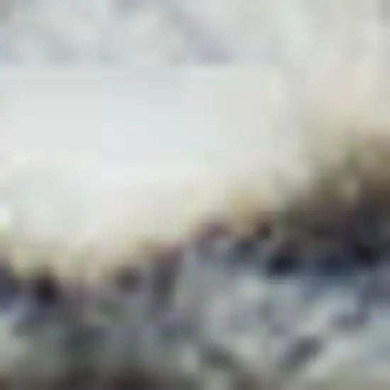 Gray and Ivory Geometric Hand Woven Area Rug With Fringe Photo 3