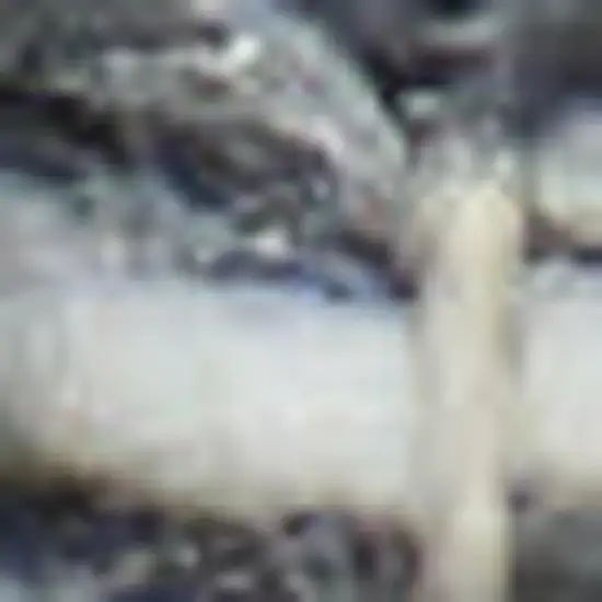 Gray and Ivory Geometric Hand Woven Area Rug With Fringe Photo 4