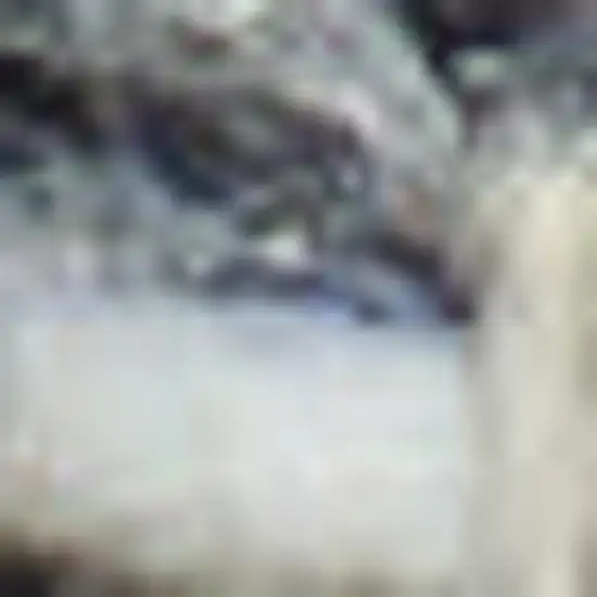 Gray and Ivory Geometric Hand Woven Area Rug With Fringe Photo 3