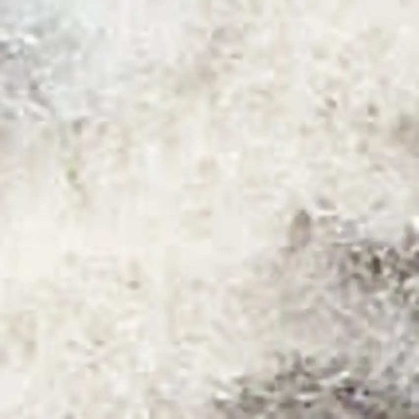 Gray and Ivory Geometric Power Loom Area Rug Photo 1