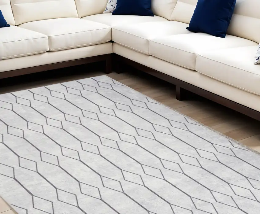 Gray and Ivory Geometric Power Loom Distressed Washable Area Rug Photo 1