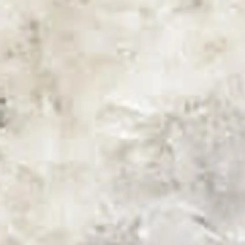 Gray and Ivory Moroccan Power Loom Washable Area Rug Photo 2